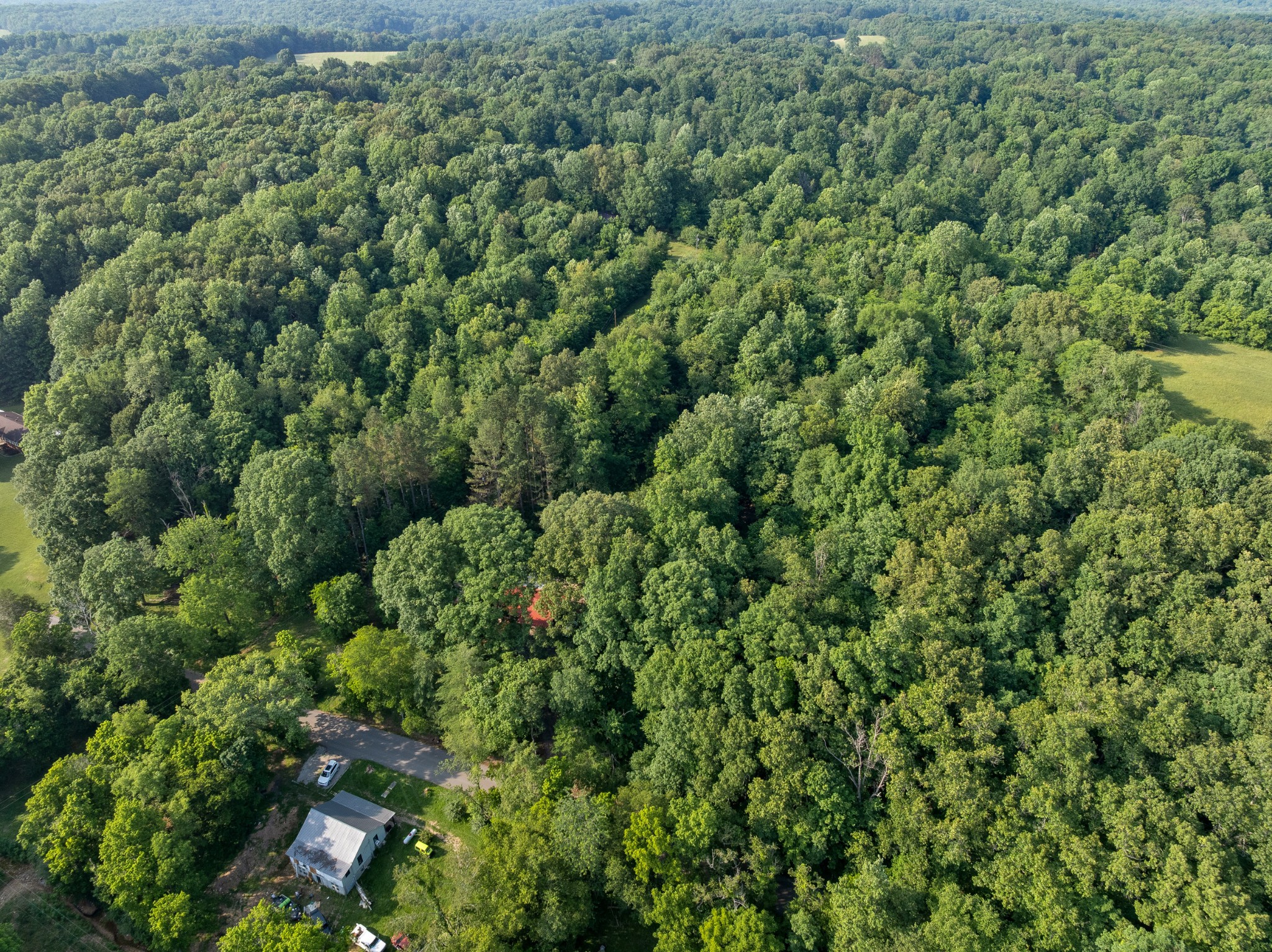 5595 Denmark Road Erin, TN 37061 - Photo 48 of 54