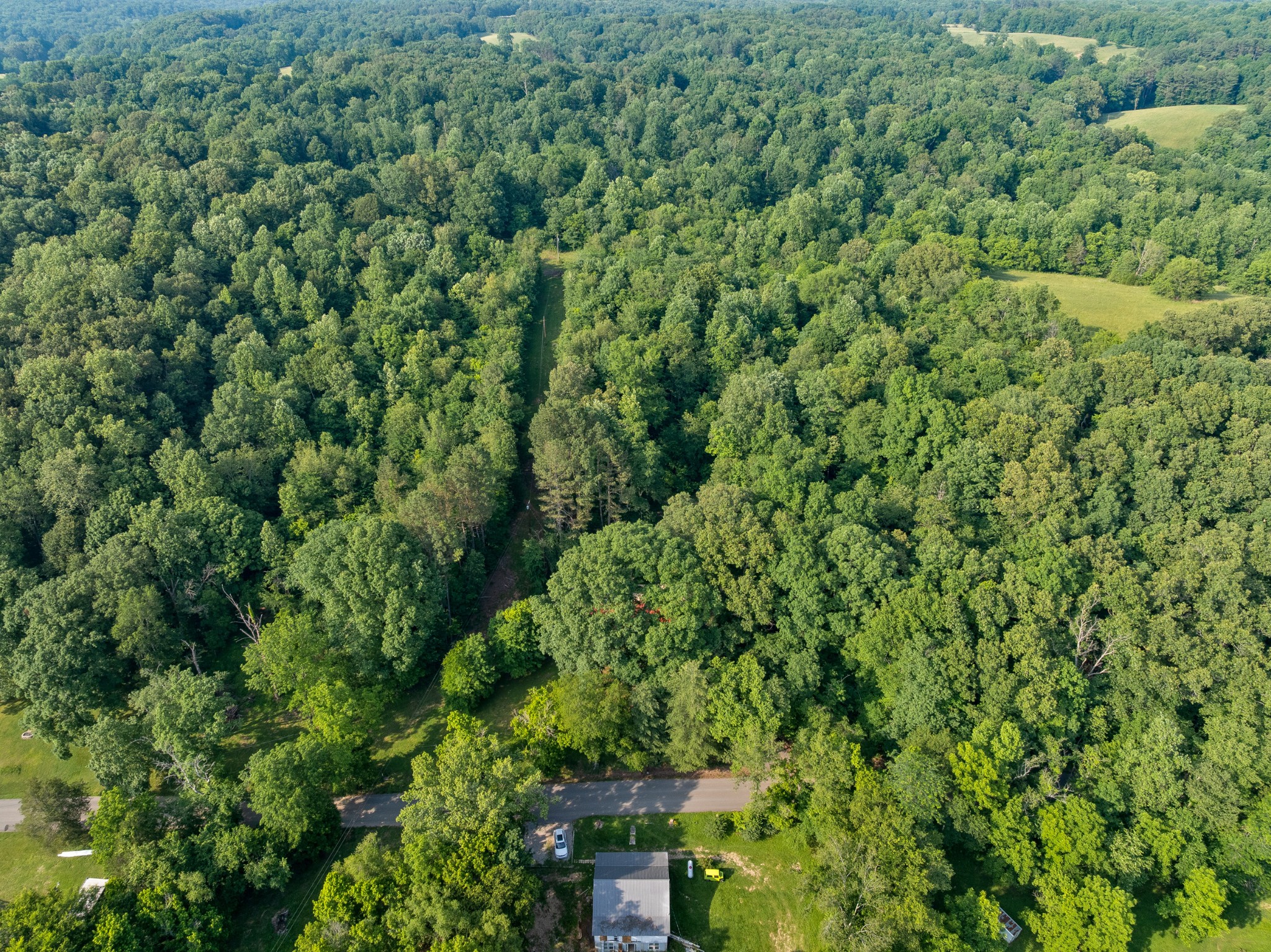5595 Denmark Road Erin, TN 37061 - Photo 50 of 54