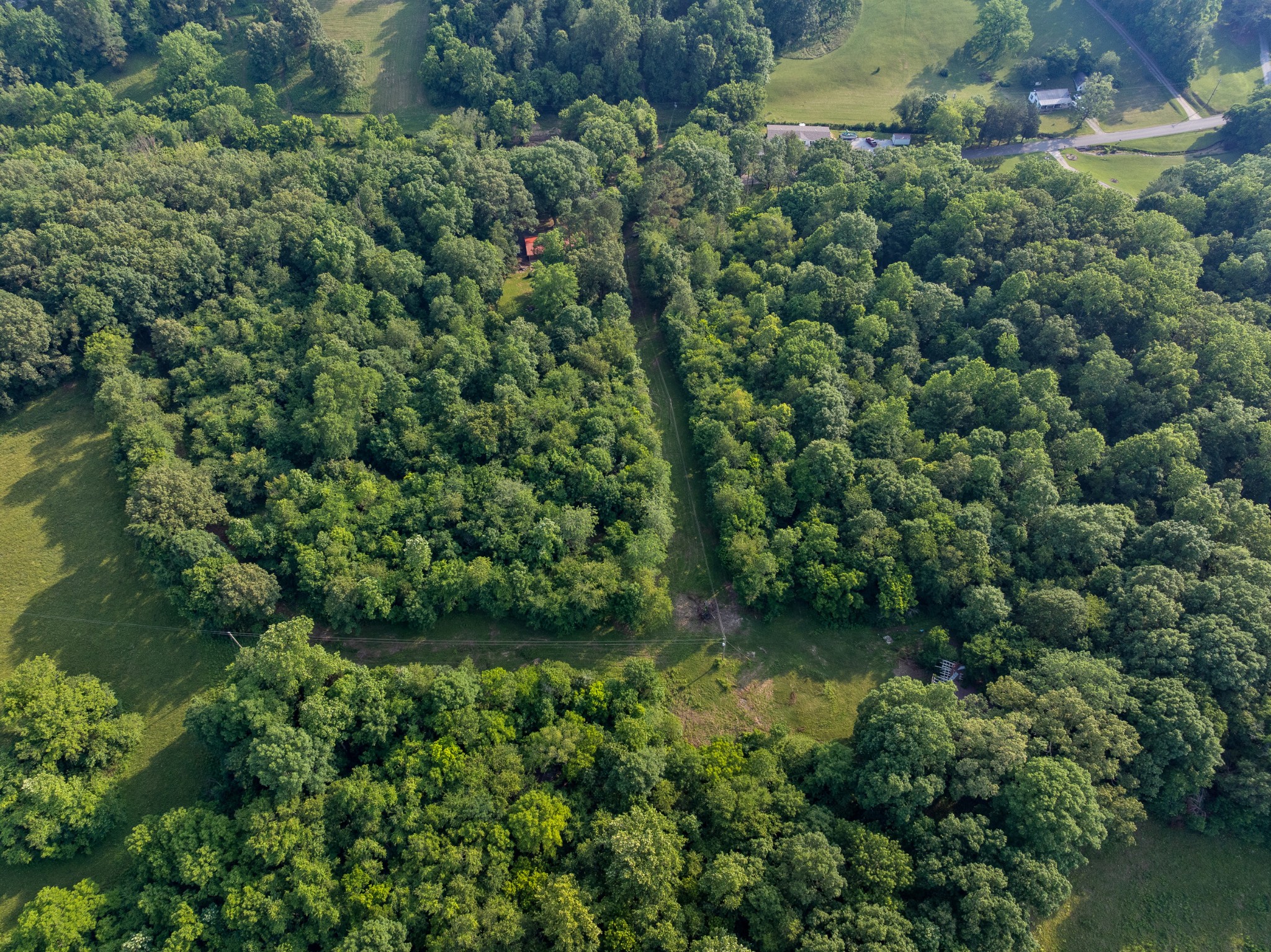 5595 Denmark Road Erin, TN 37061 - Photo 52 of 54