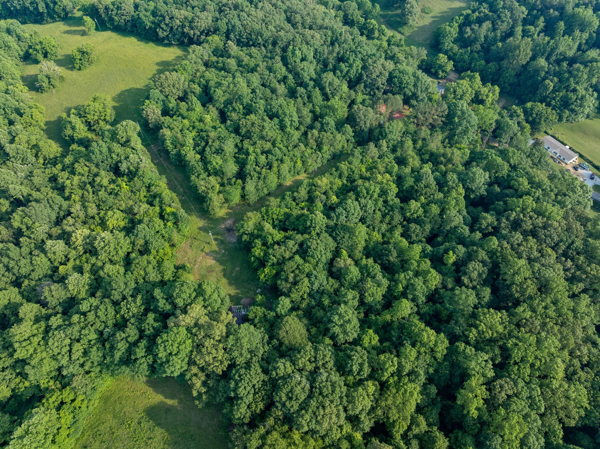 5595 Denmark Road Erin, TN 37061 - Photo 53 of 54
