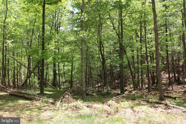 $35,000 | Tanglewood, Broadway, VA 22815