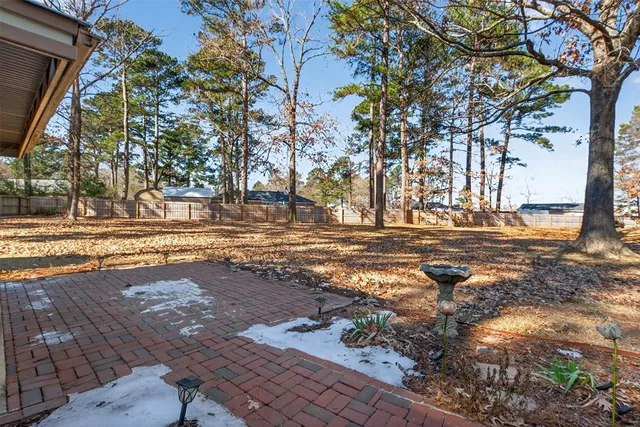 a view of a yard with trees