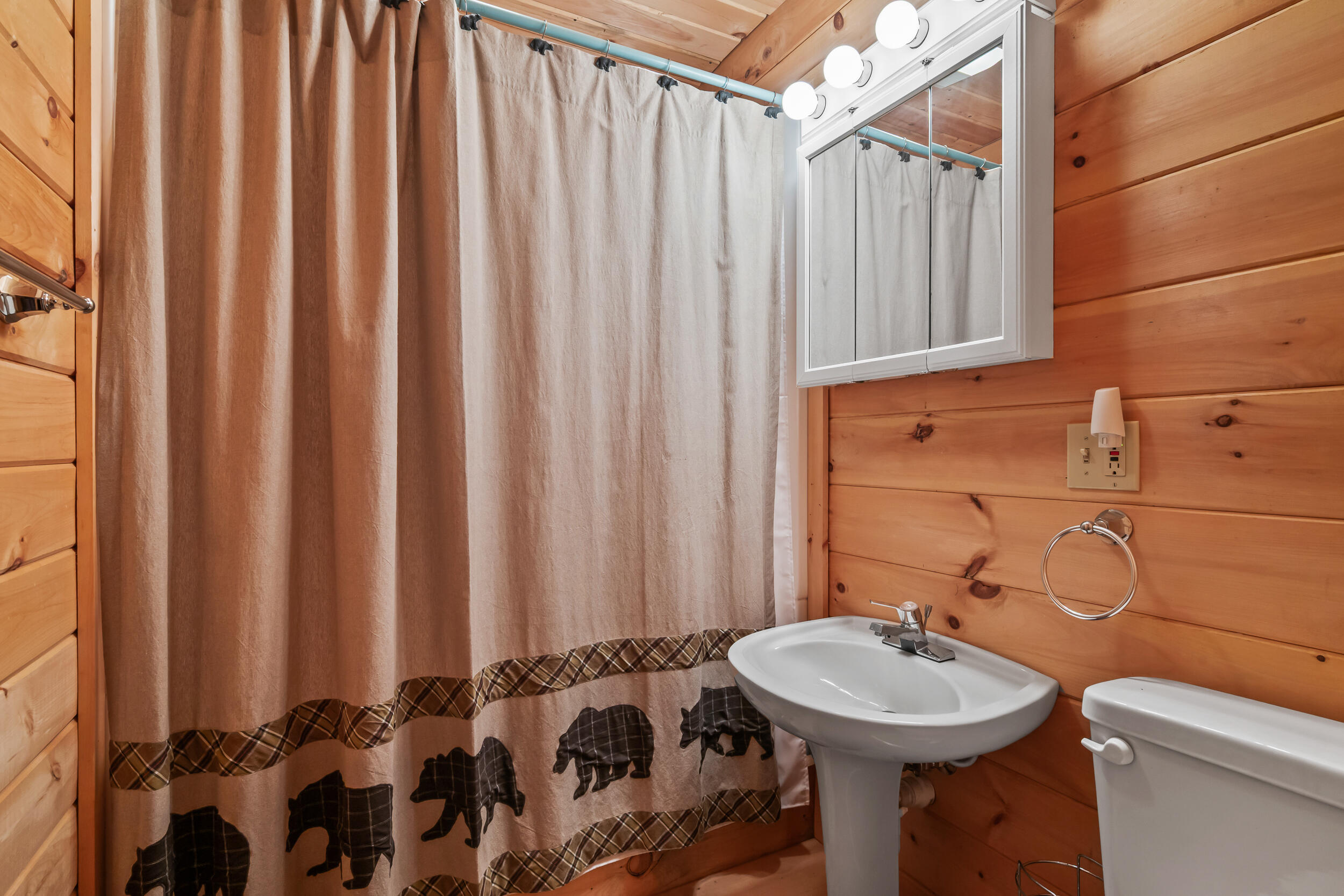 49 Field Way Rangeley, ME 04970 - Photo 104 of 105 DSC_4061