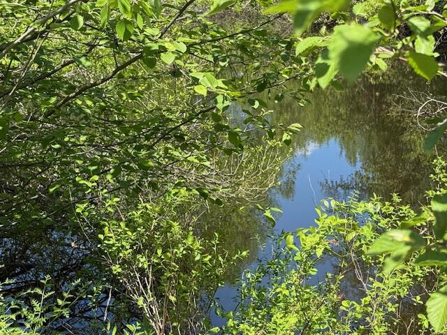 203 Beans Corner Road New Sharon, ME 04955 - Photo 44 of 46 Pond