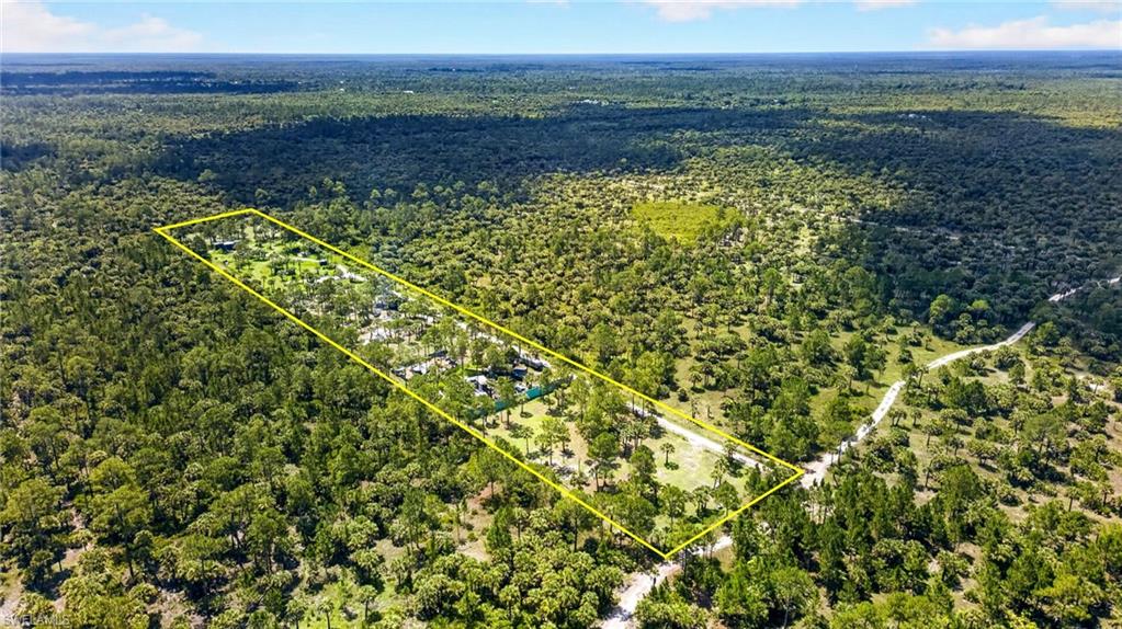 Naples Fl Naples Way Naples, FL 34117 - Photo 7 of 12 Expansive land parcel featuring dense natural vegetation and mature trees, with a defined boundary indicating property lines