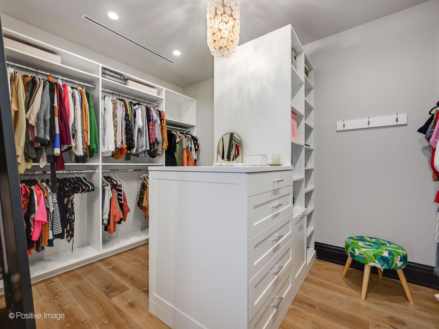 1109 West Washington Boulevard, Unit 2C Chicago, IL 60607 - Photo 35 of 40 a view of a walk in closet