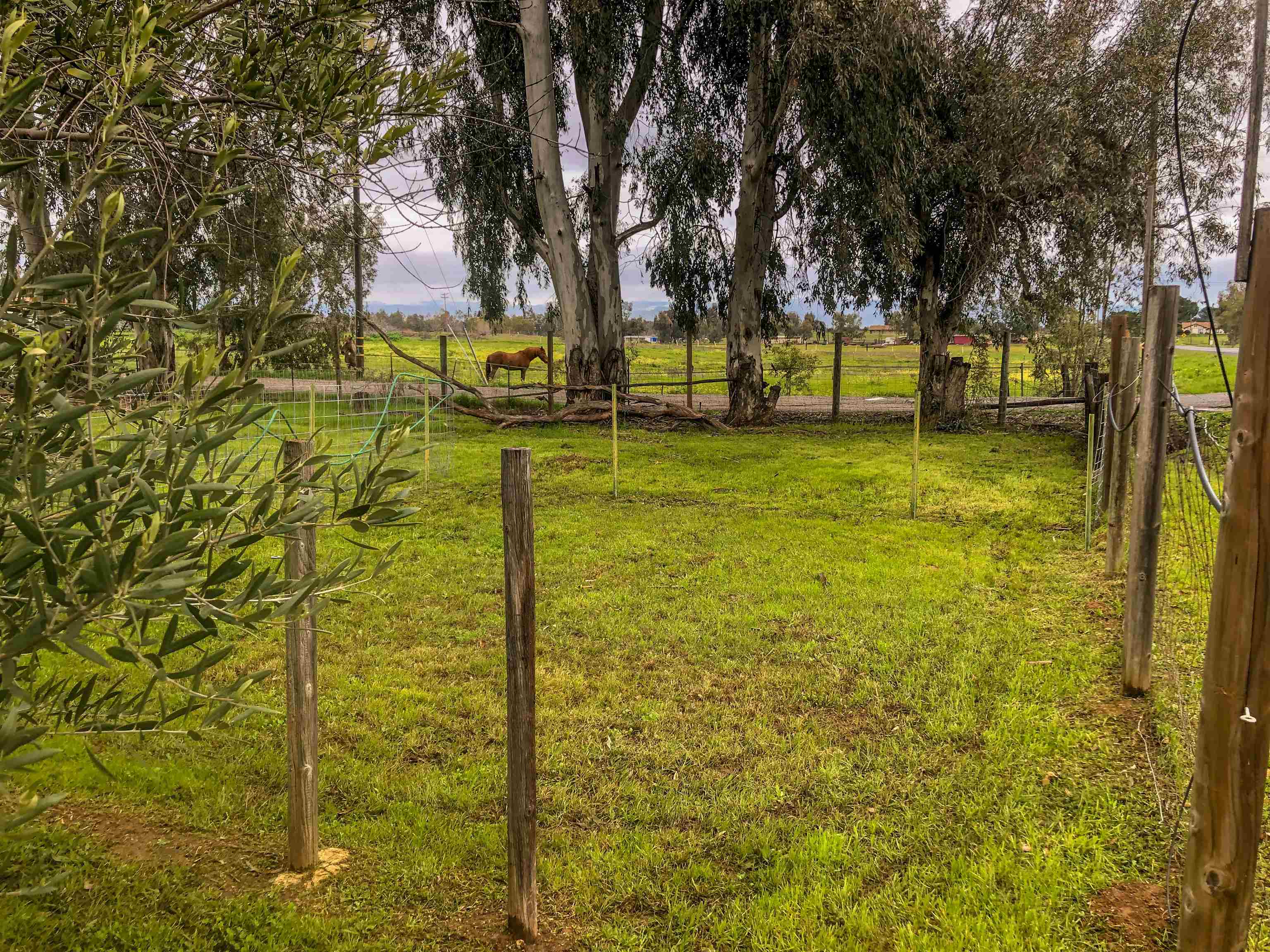23848 Hoag Road Corning, CA 96021 - Photo 48 of 73