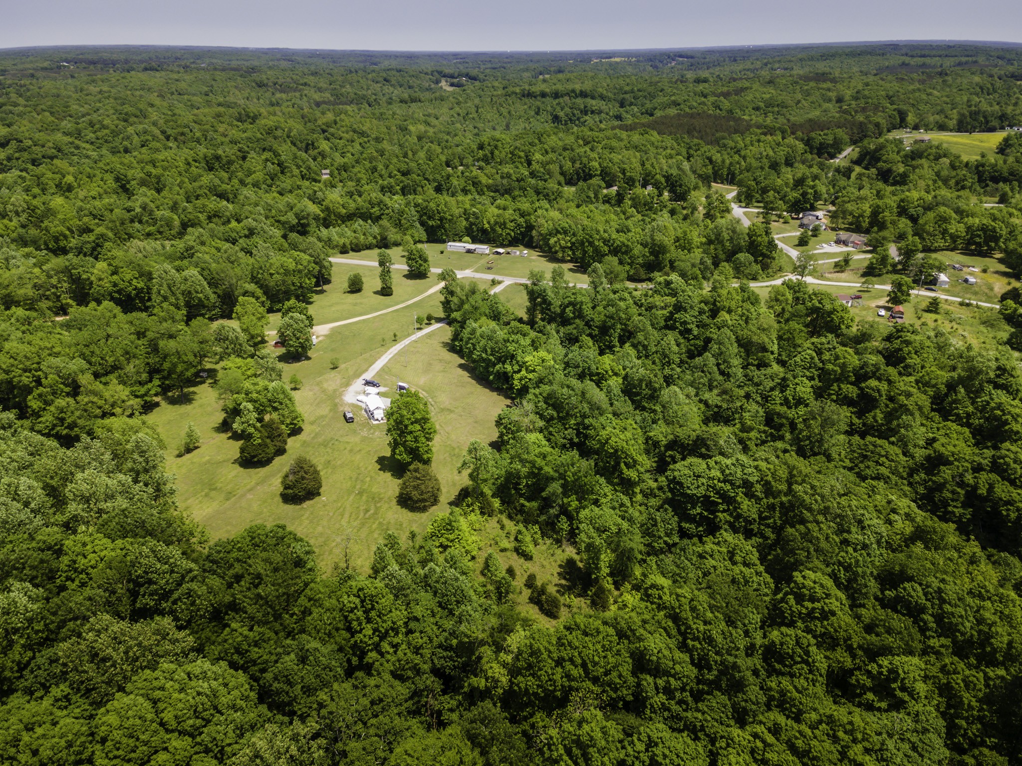 133 Clifton Road Lawrenceburg, TN 38464 - Photo 15 of 27 a view of a big yard with lots of palm trees