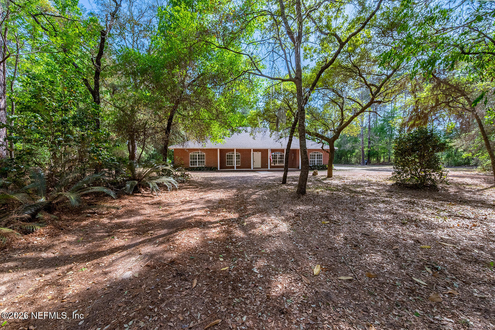 6240 Payne Road Keystone Heights, FL 32656 - Photo 43 of 43 a view of a house with backyard and trees