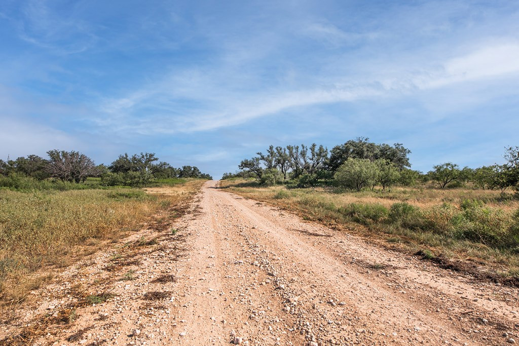 2250 Buck Ridge Melvin, TX 76858 - Photo 2 of 6 Photo 2