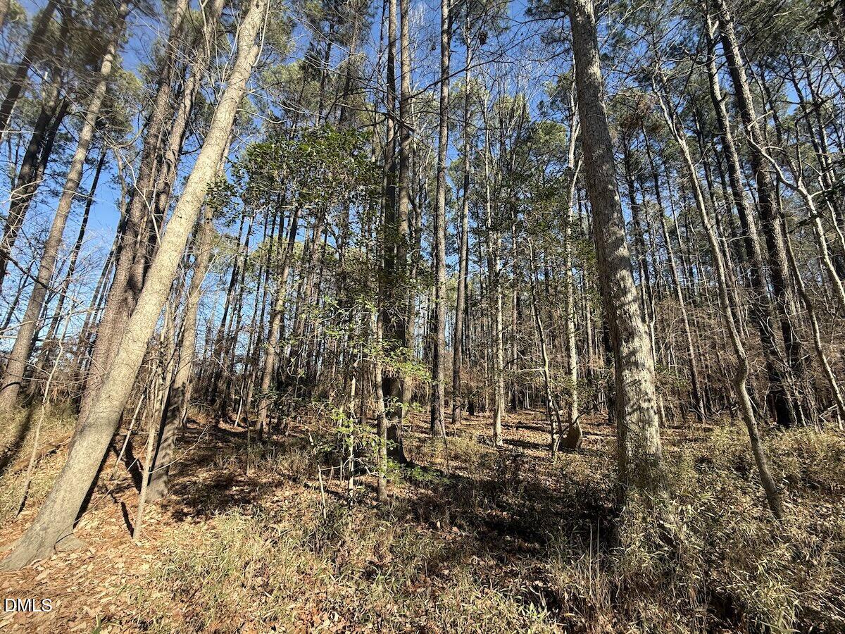1012 South Halifax Road Rocky Mount, NC 27803 - Photo 11 of 41 a view of outdoor space