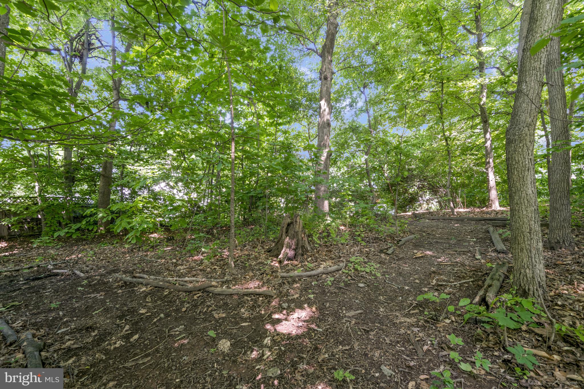 6910 Spur Road Springfield, VA 22153 - Photo 55 of 59 Backyard