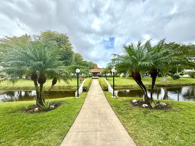 a park with large trees