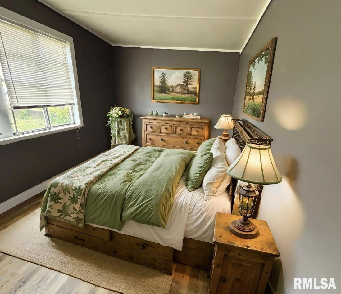 614 West Rigdon Street Carbondale, IL 62901 - Photo 4 of 13 Gallery Image 4