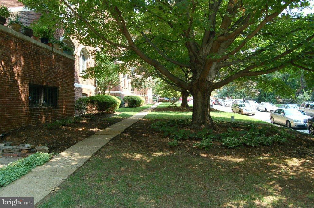 501 West University Parkway, Unit C1 Baltimore, MD 21210 - Photo 26 of 29 a backyard of a house with lots of green space