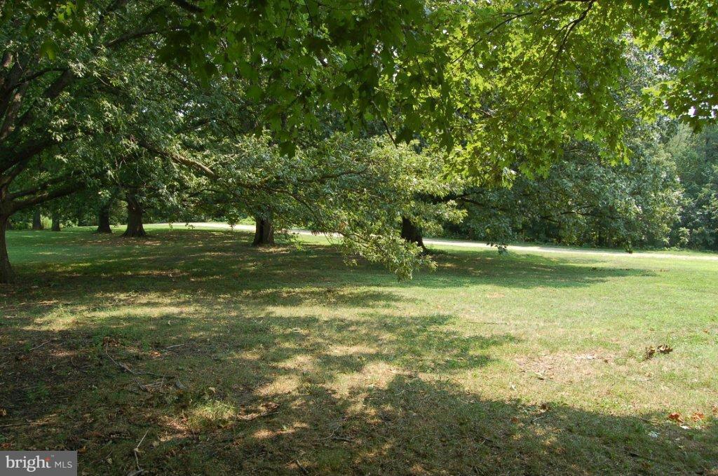 501 West University Parkway, Unit C1 Baltimore, MD 21210 - Photo 27 of 29 a view of a field with a tree