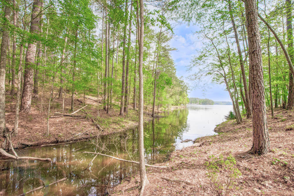 212 Butler Point McCormick, SC 29835 - Photo 33 of 42 backlake3