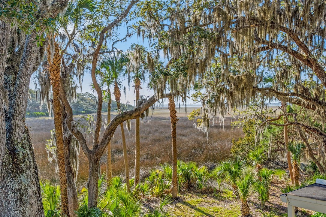 3416 Sea Marsh Road, Unit 3416 Fernandina Beach, FL 32034 - Photo 32 of 32 Gallery Image 32