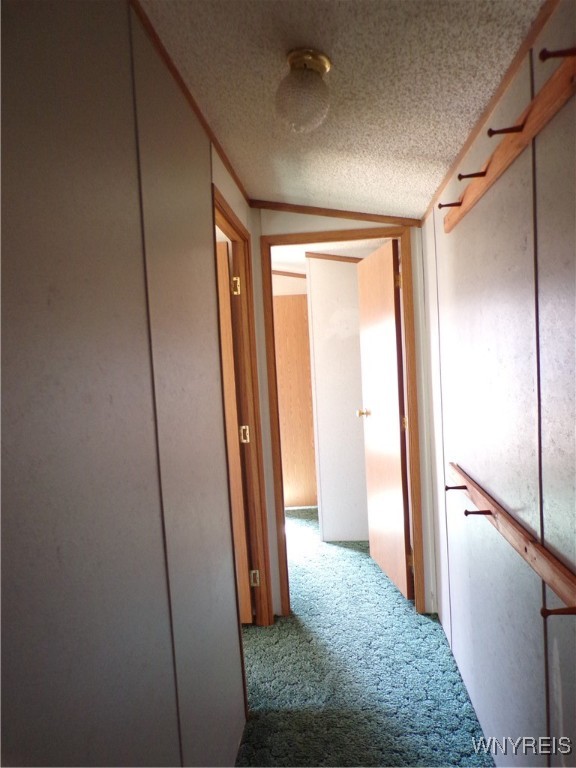 4 Lees Court Cuba, NY 14727 - Photo 6 of 10