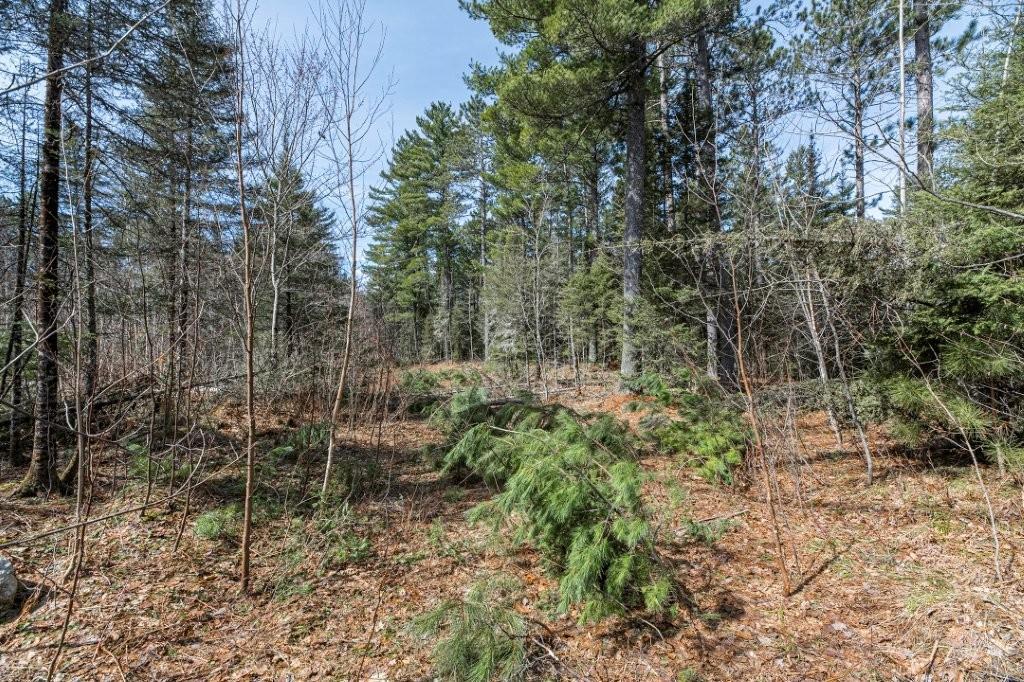 Off Natural Springs Road Presque Isle, WI 54557 - Photo 16 of 27 Gallery Image 16