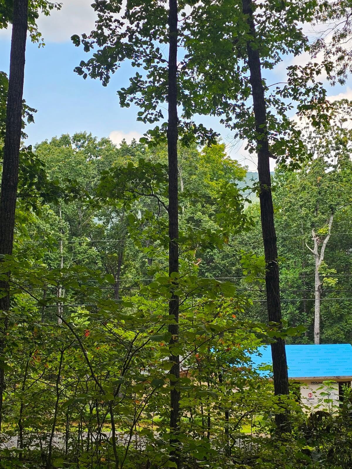 0 Sussex Road Dayton, TN 37321 - Photo 12 of 15 Gallery Image 12