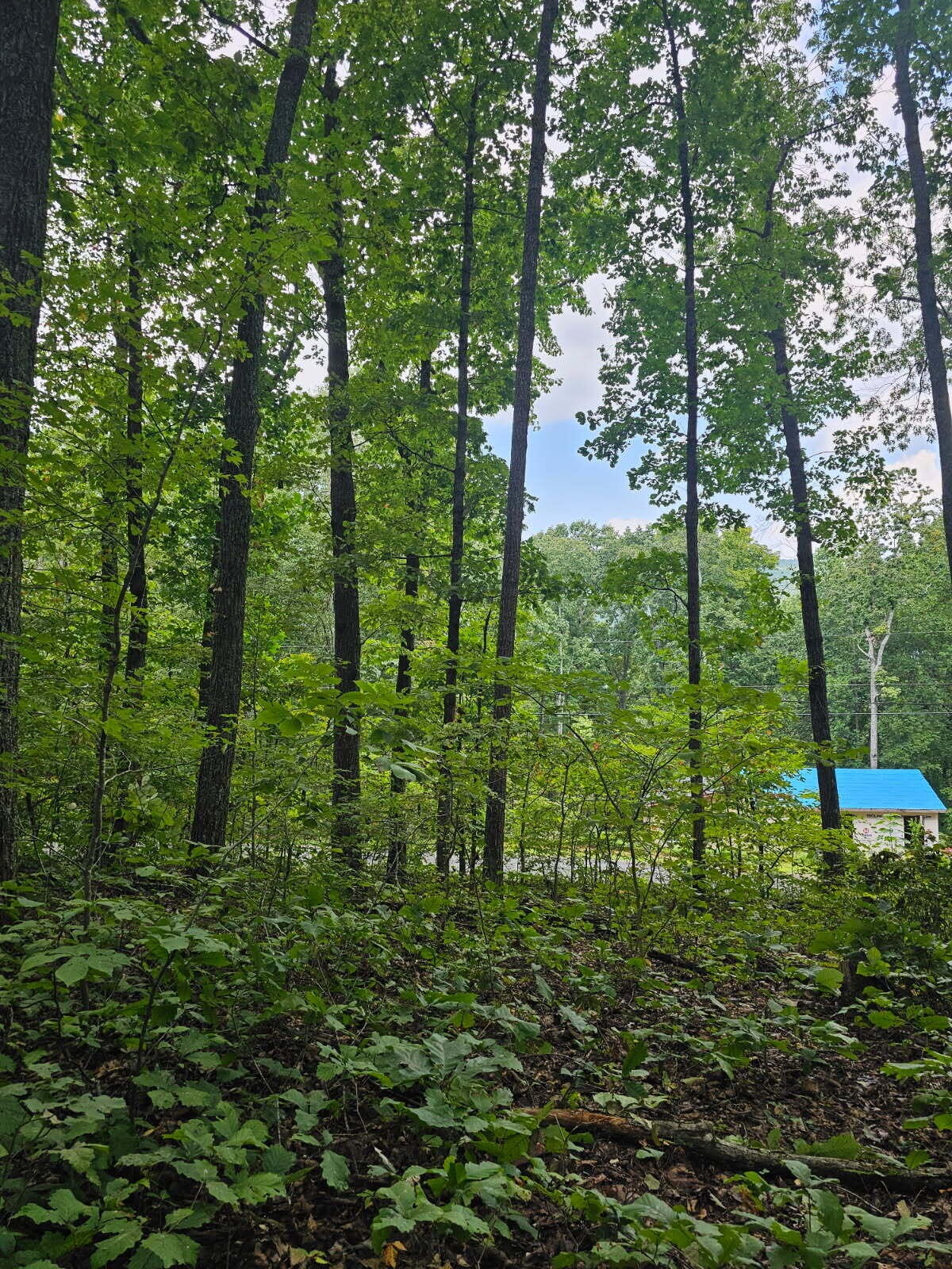 0 Sussex Road Dayton, TN 37321 - Photo 13 of 15 Gallery Image 13