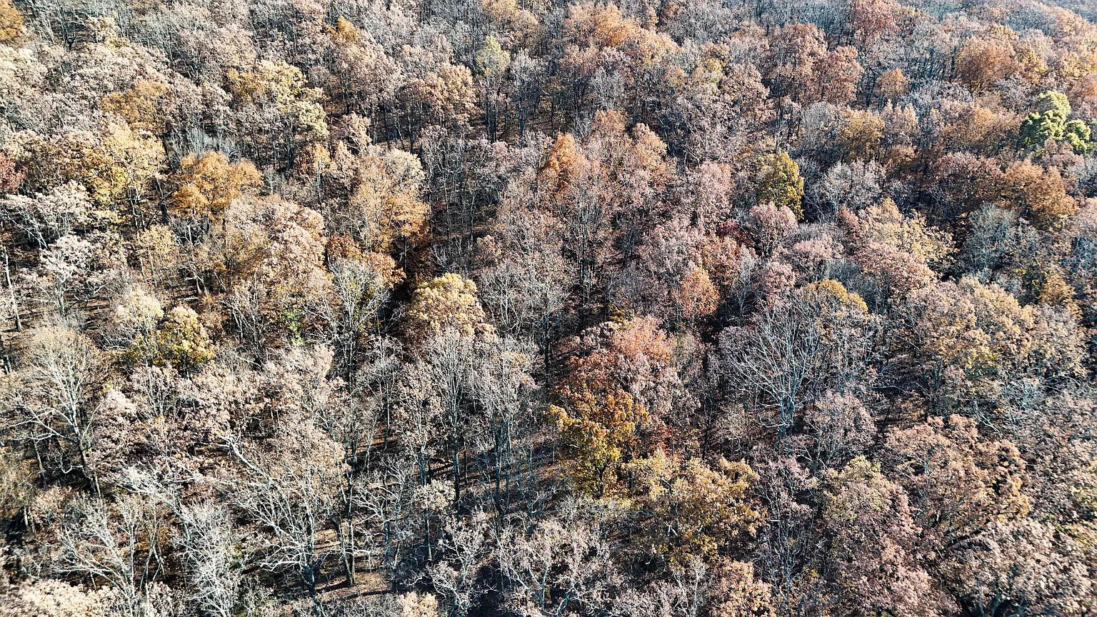 0 Sussex Road Dayton, TN 37321 - Photo 15 of 15 Gallery Image 15