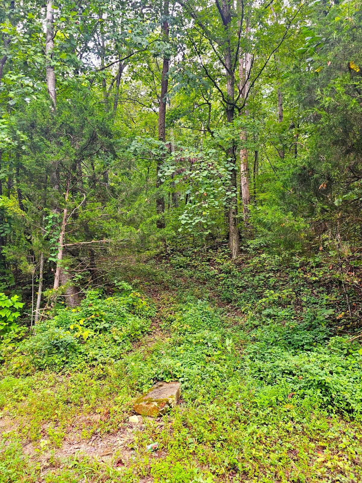 0 Sussex Road Dayton, TN 37321 - Photo 2 of 15 Gallery Image 2