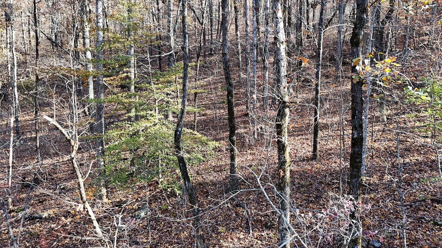 0 Sussex Road Dayton, TN 37321 - Photo 3 of 15 Gallery Image 3