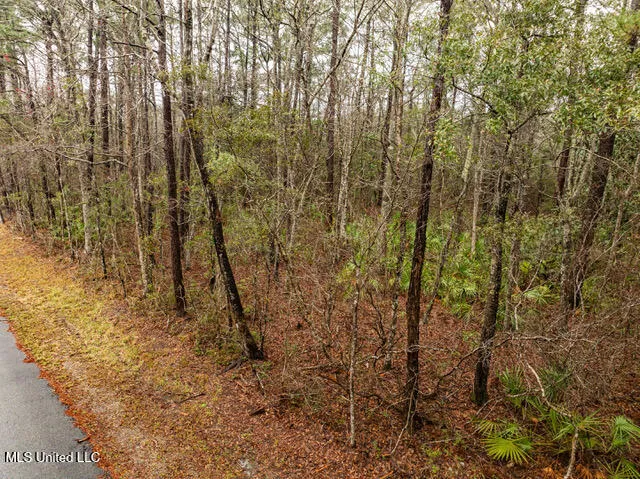 $15,000 | Lot 3099 Lynne Street, Ocean Springs, MS 39564