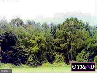 Lot 19 Meadowview Road Kennett Square, PA 19348 - Photo 1 of 1 Gallery Image 1
