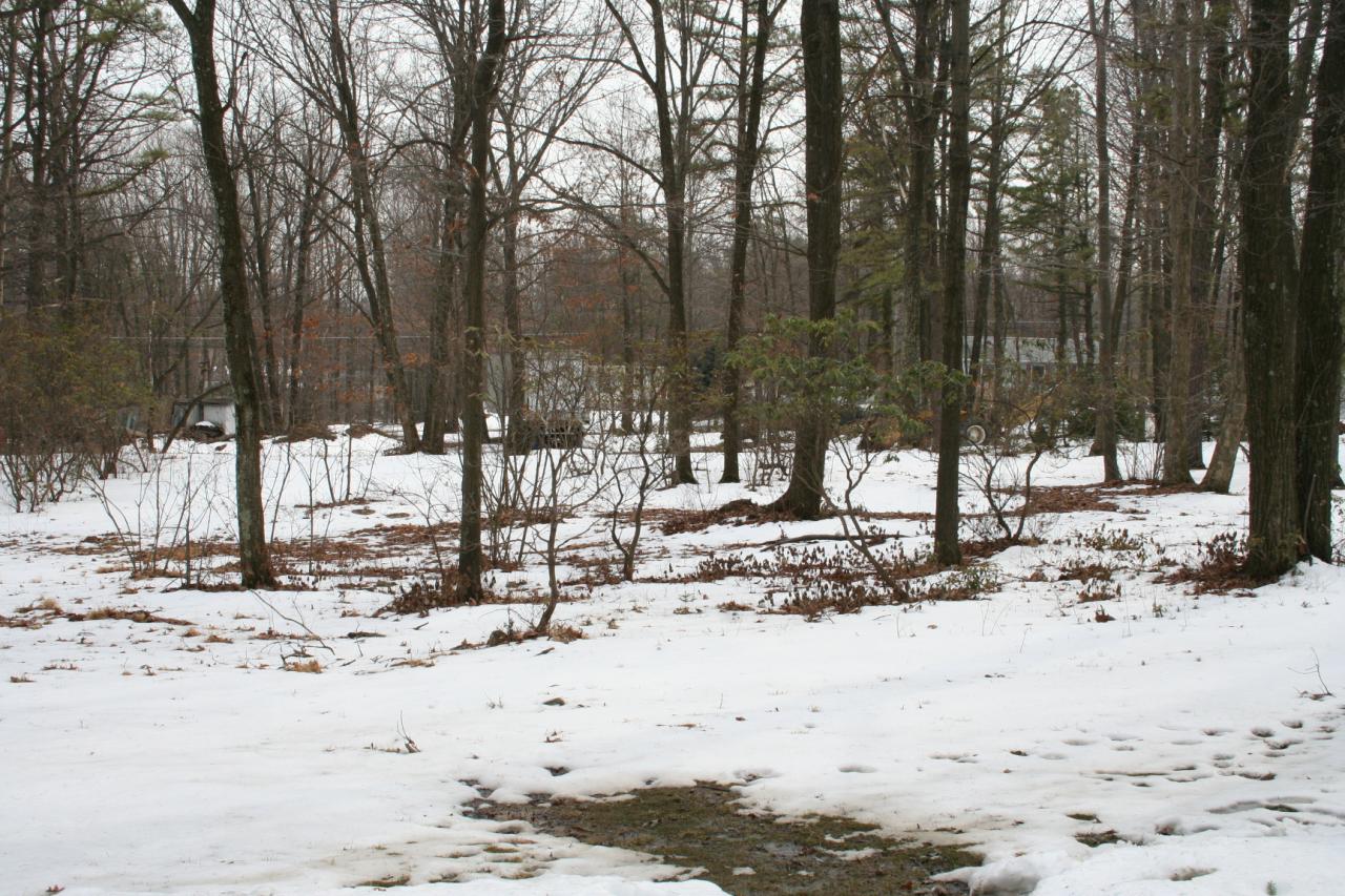 Lot 662 Ranger Road Effort, PA 18330 - Photo 3 of 6 3