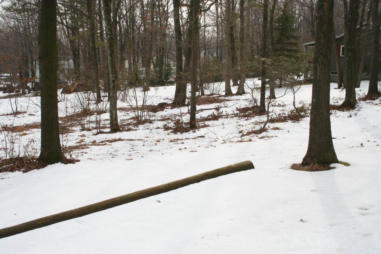 Lot 662 Ranger Road Effort, PA 18330 - Photo 6 of 6 8