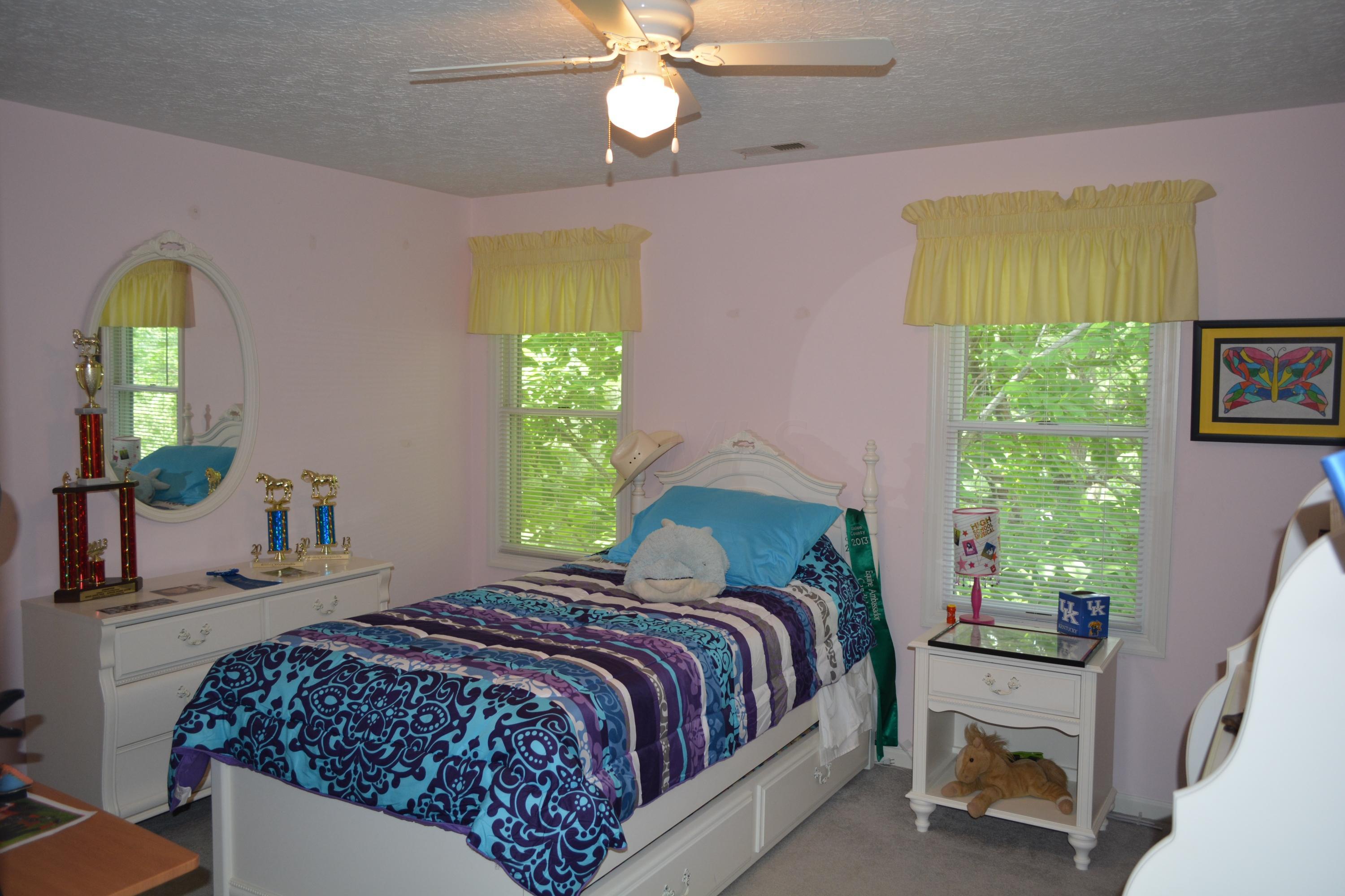 8111 McKitrick Road Plain City, OH 43064 - Photo 14 of 30