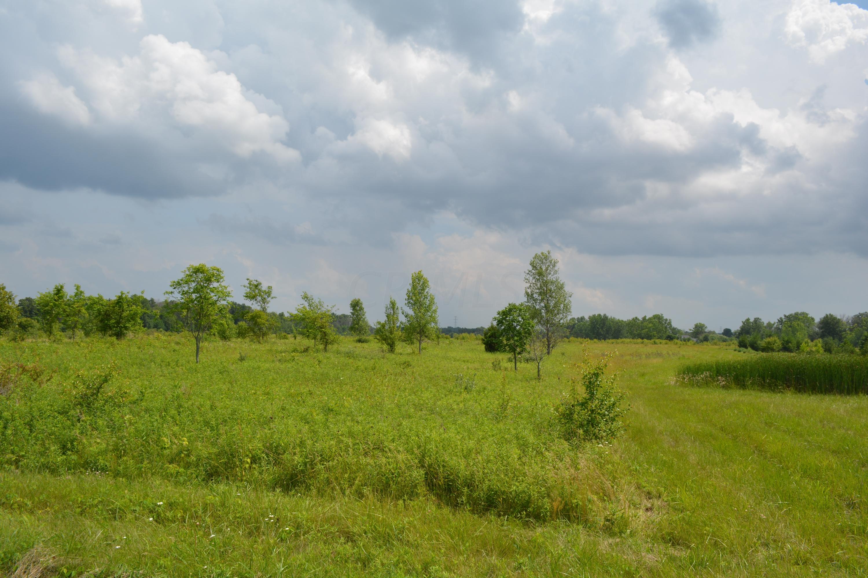 8111 McKitrick Road Plain City, OH 43064 - Photo 26 of 30