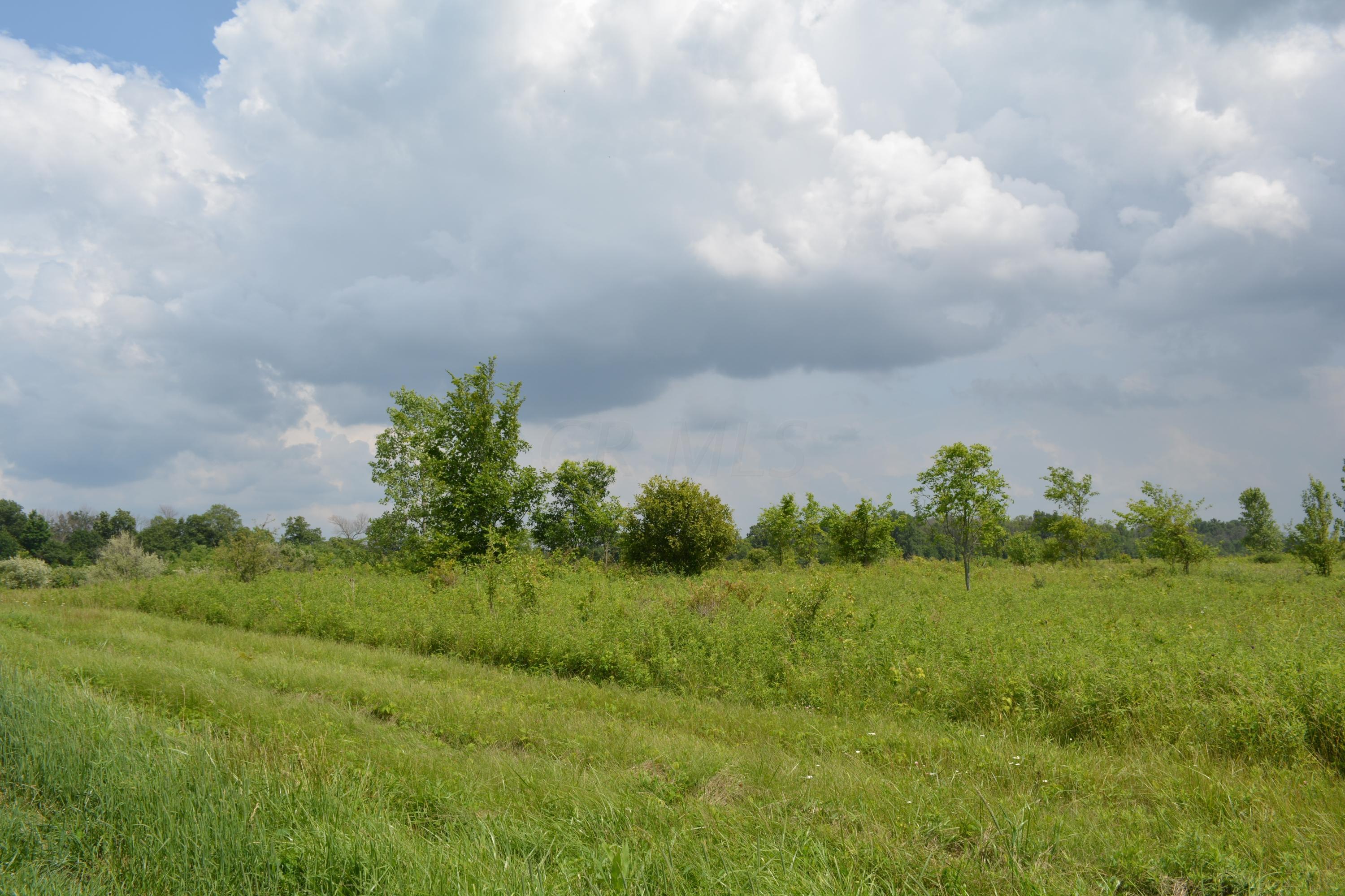 8111 McKitrick Road Plain City, OH 43064 - Photo 27 of 30