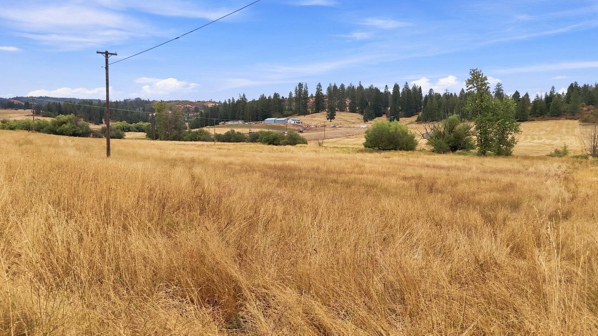 2702 Allen Road Elk, WA 99009 - Photo 16 of 23 Gallery Image 16