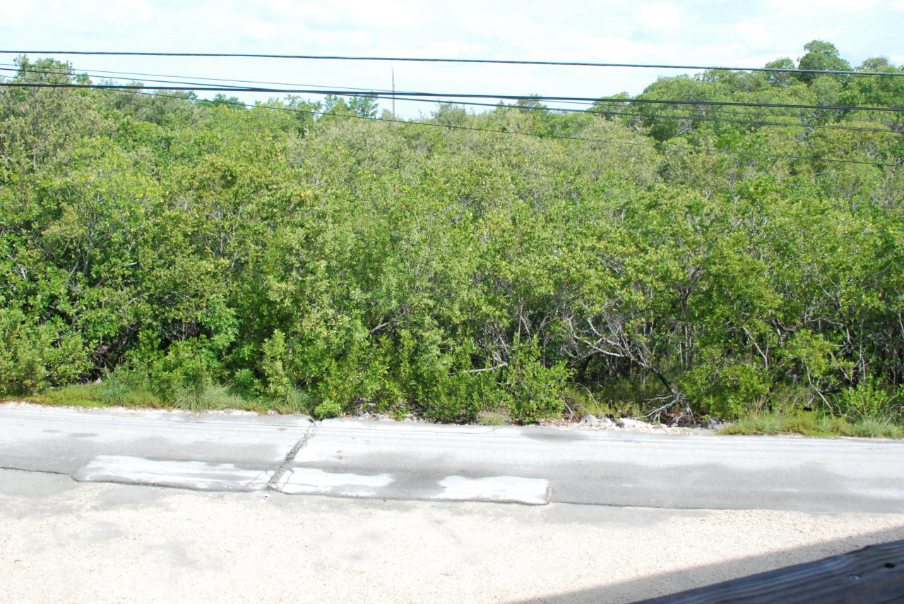 115 Stirrup Key Road, Unit 4B2 Marathon, FL 33050 - Photo 9 of 10 view from porch