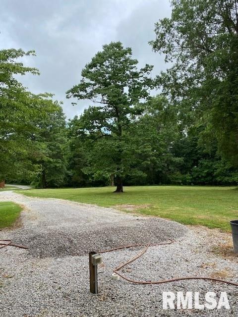 3244 Massac Creek Road Metropolis, IL 62960 - Photo 3 of 33 Gallery Image 3