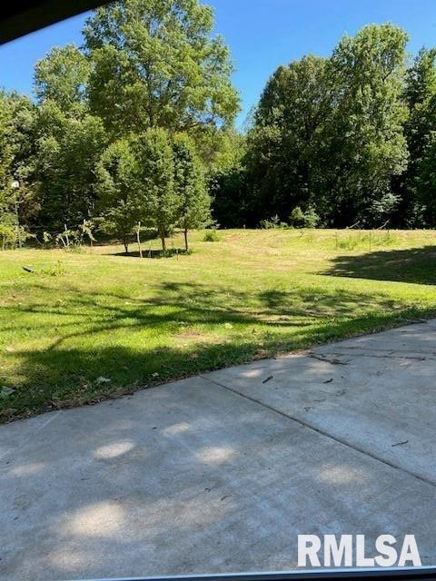 3244 Massac Creek Road Metropolis, IL 62960 - Photo 8 of 33 Gallery Image 8