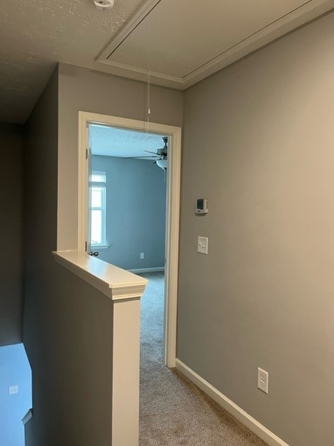 2365 History Way Murfreesboro, TN 37130 - Photo 12 of 19