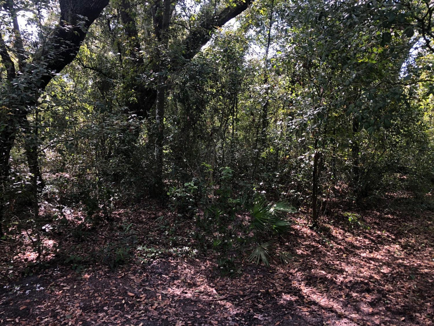0 Co Road Kathleen, FL 33849 - Photo 1 of 3 rb28signremoved (1)