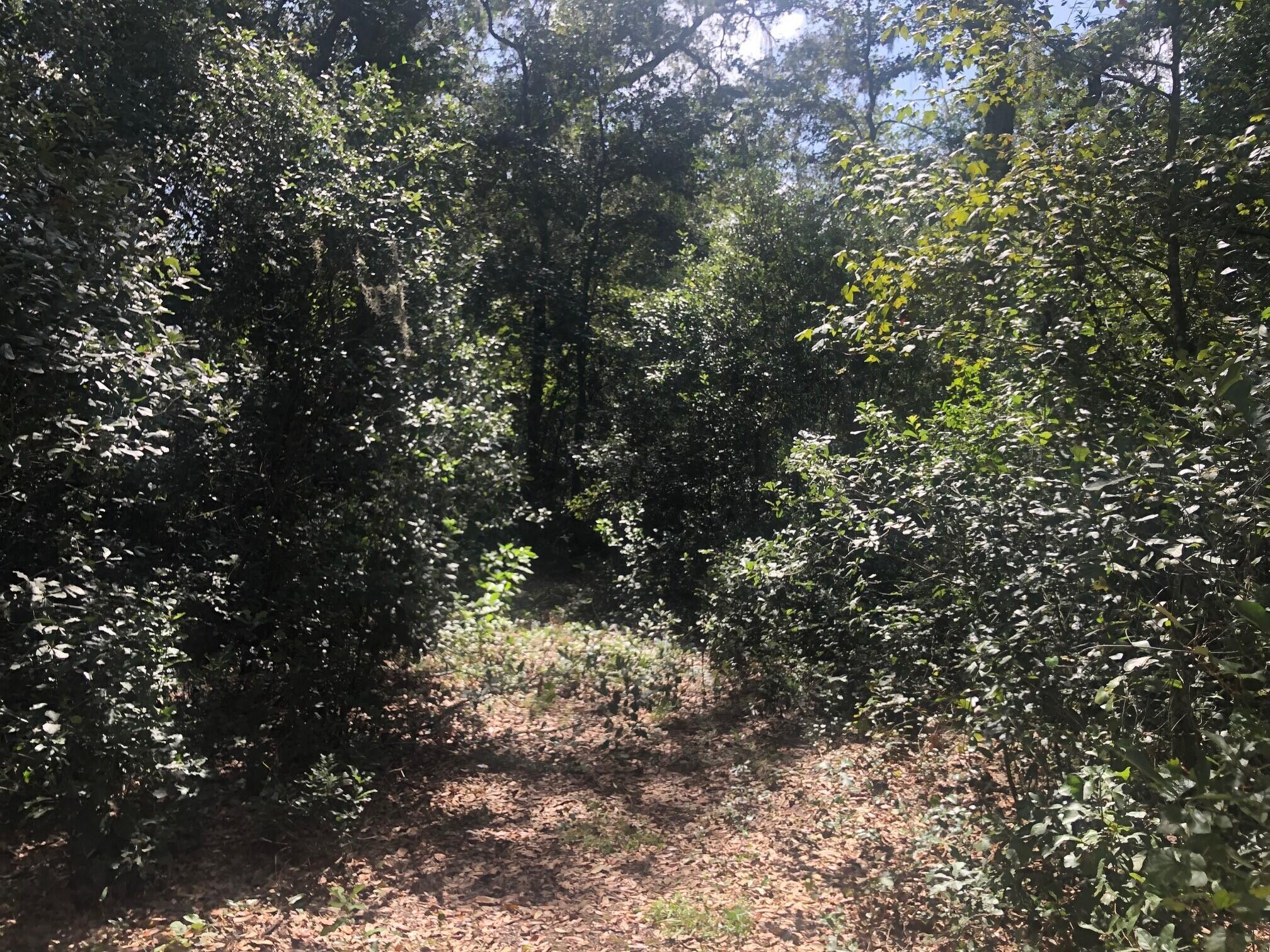 0 Co Road Kathleen, FL 33849 - Photo 3 of 3 rb282