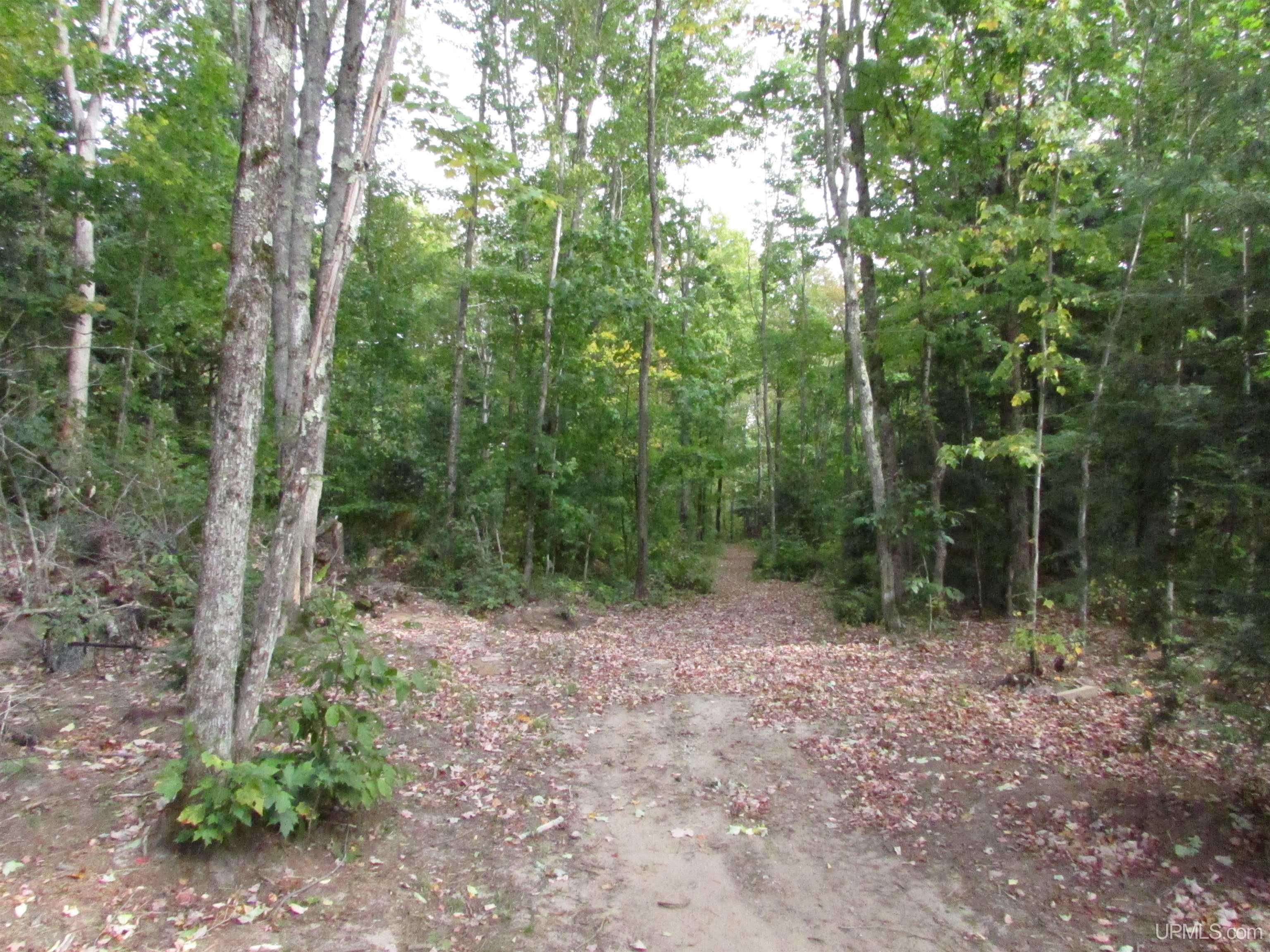 N3594 Raspberry Lane Munising, MI 49862 - Photo 35 of 67