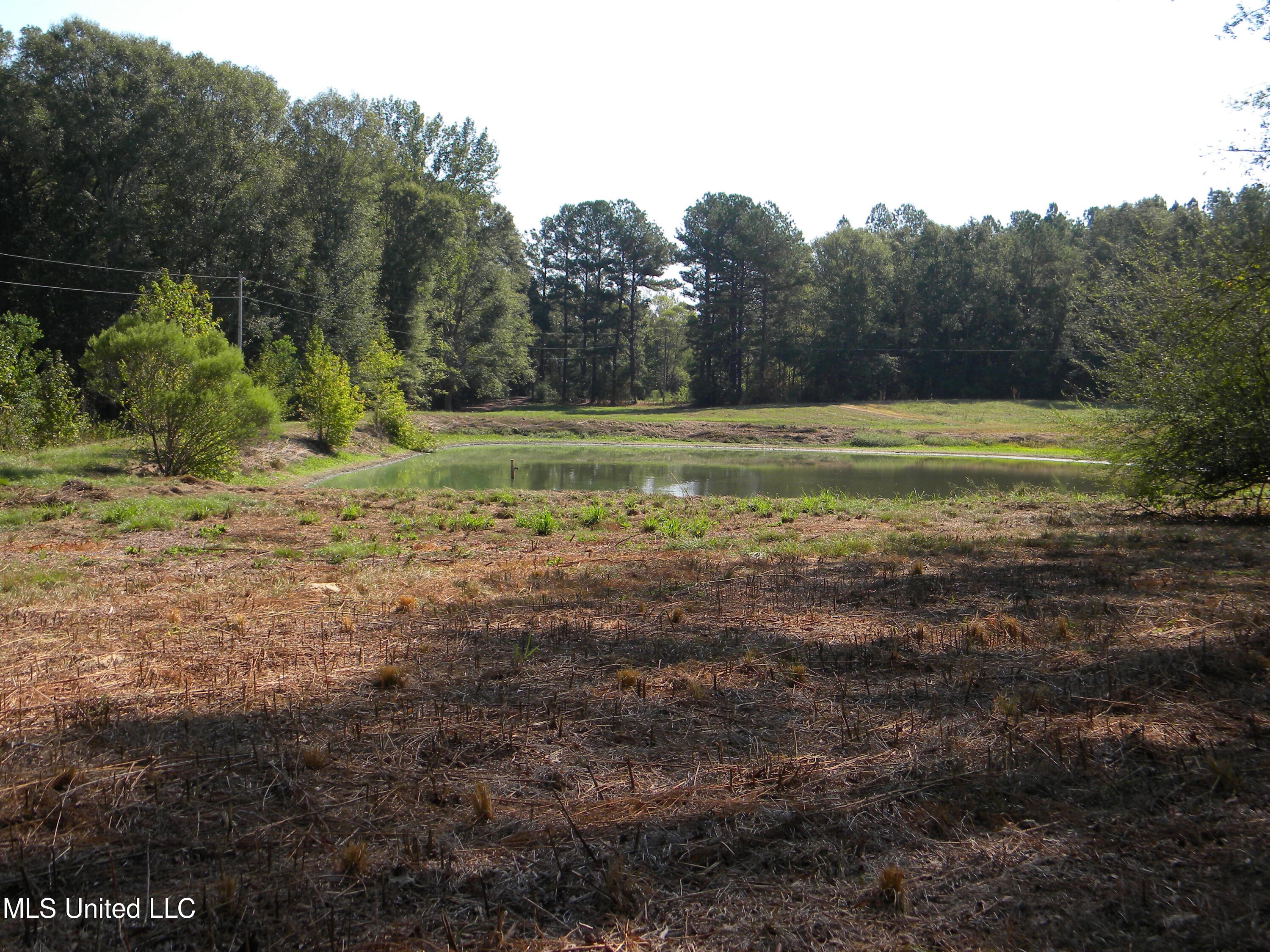 177 Gather Johnson Road Magee, MS 39111 - Photo 11 of 19 DSCN2998