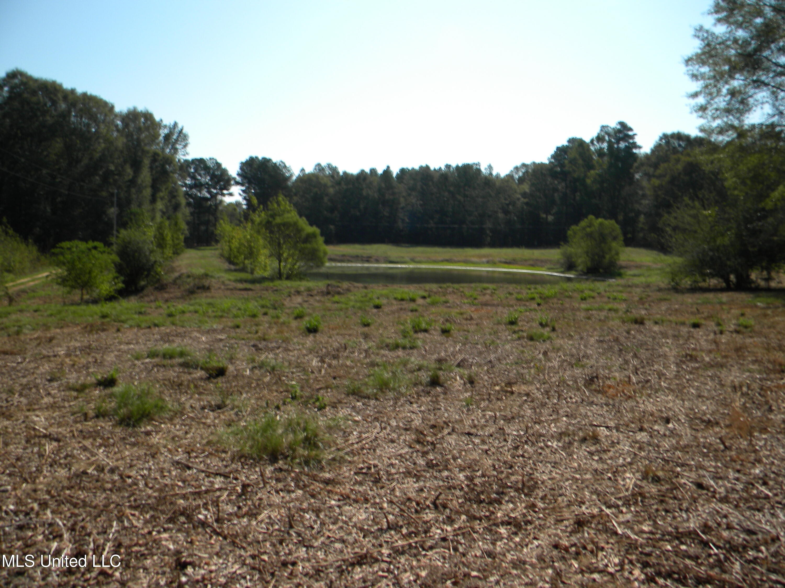 177 Gather Johnson Road Magee, MS 39111 - Photo 13 of 19 DSCN2996