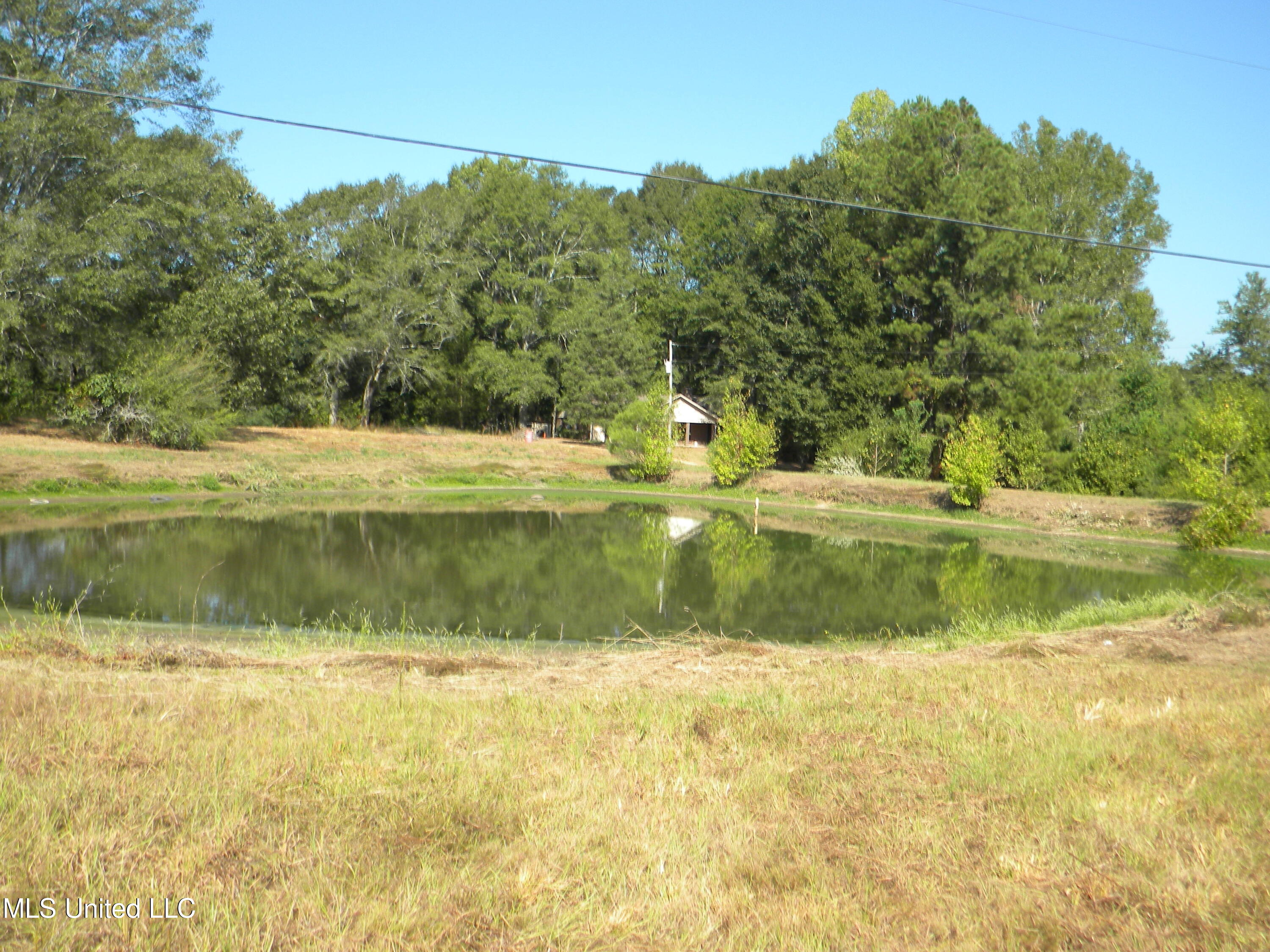 177 Gather Johnson Road Magee, MS 39111 - Photo 14 of 19 DSCN2999