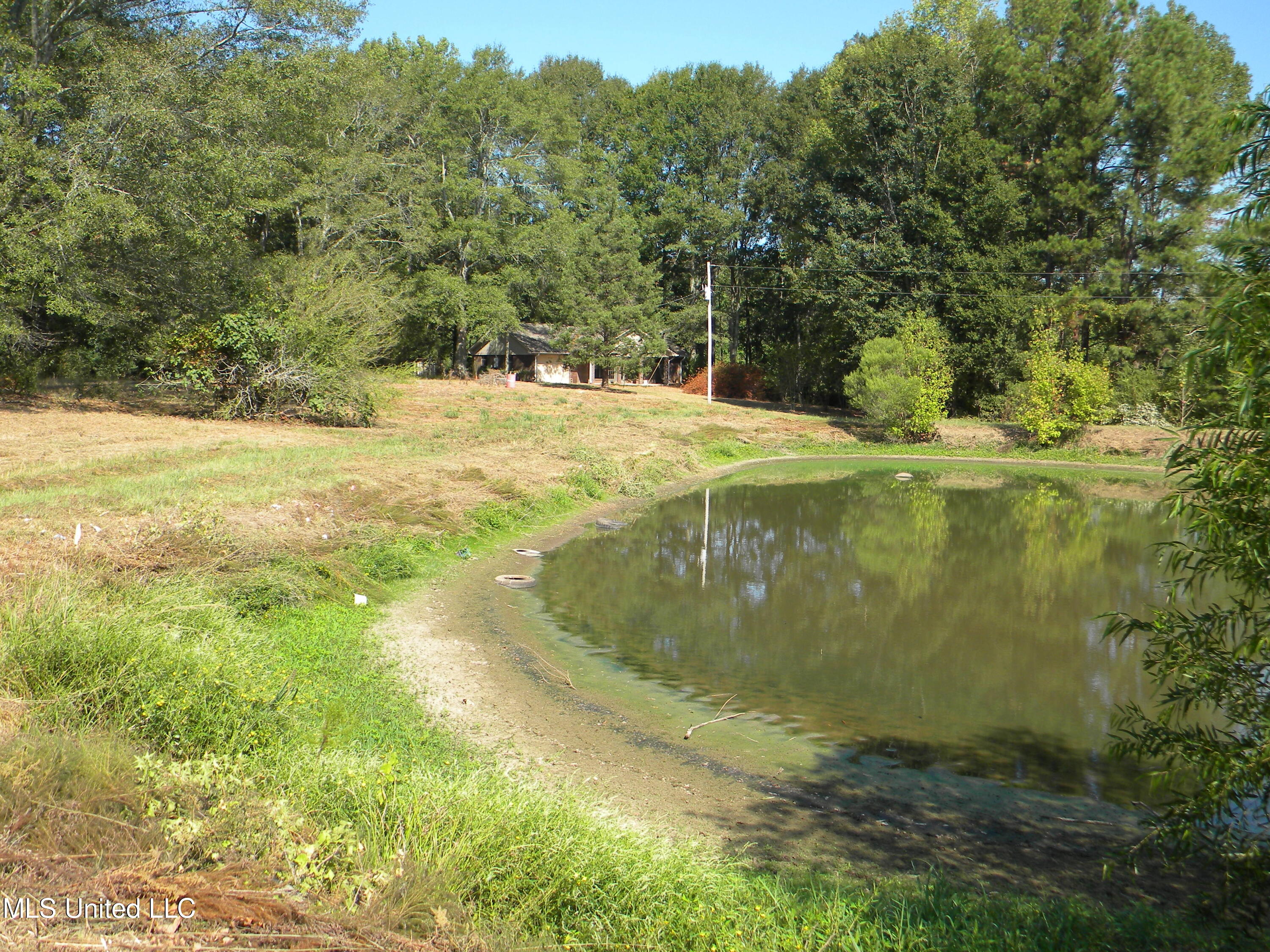 177 Gather Johnson Road Magee, MS 39111 - Photo 16 of 19 DSCN3001