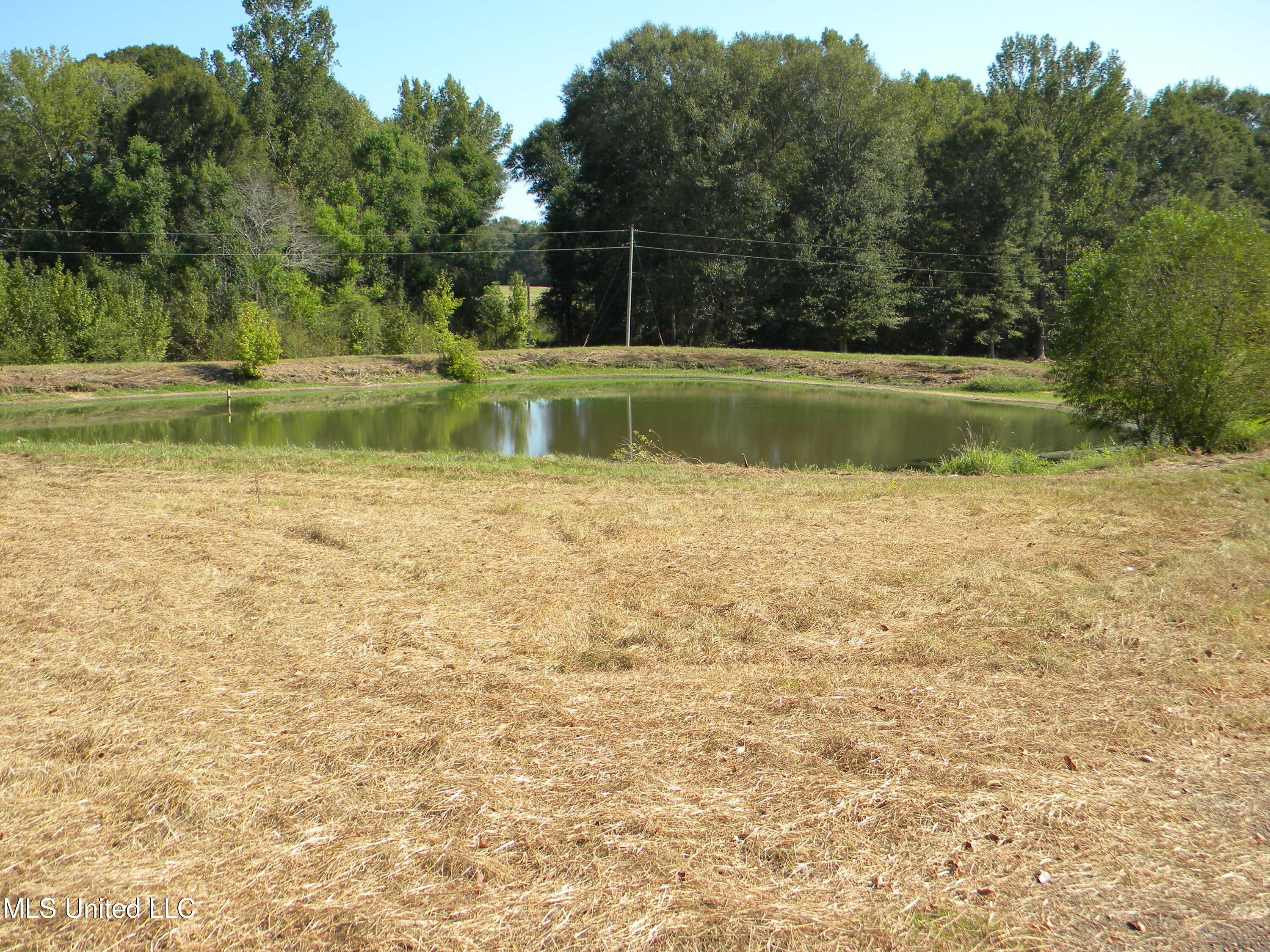 177 Gather Johnson Road Magee, MS 39111 - Photo 17 of 19 DSCN3004