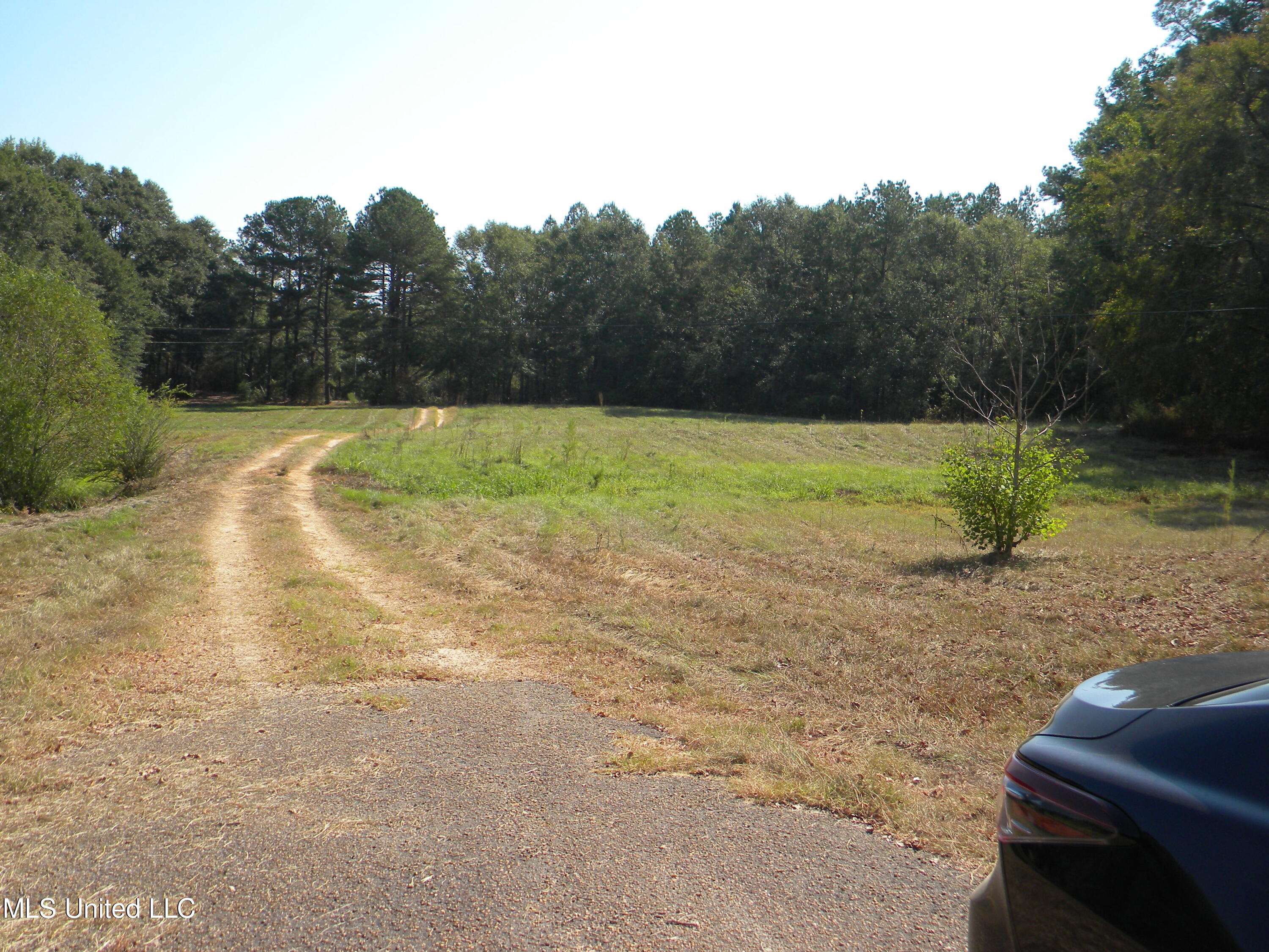 177 Gather Johnson Road Magee, MS 39111 - Photo 19 of 19 DSCN3005